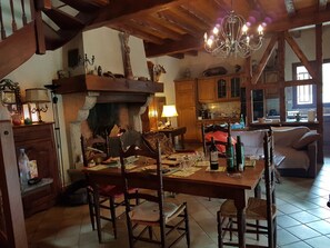 TV, fireplace, video games, DVD player