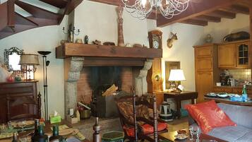 Télévision, cheminée, jeux vidéo, lecteur de DVD