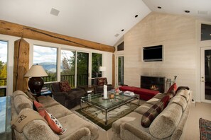 TV, fireplace, DVD player, books