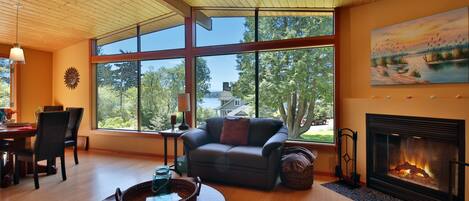 TV, fireplace, DVD player, books