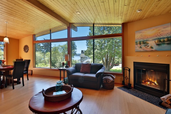 TV, fireplace, DVD player, books