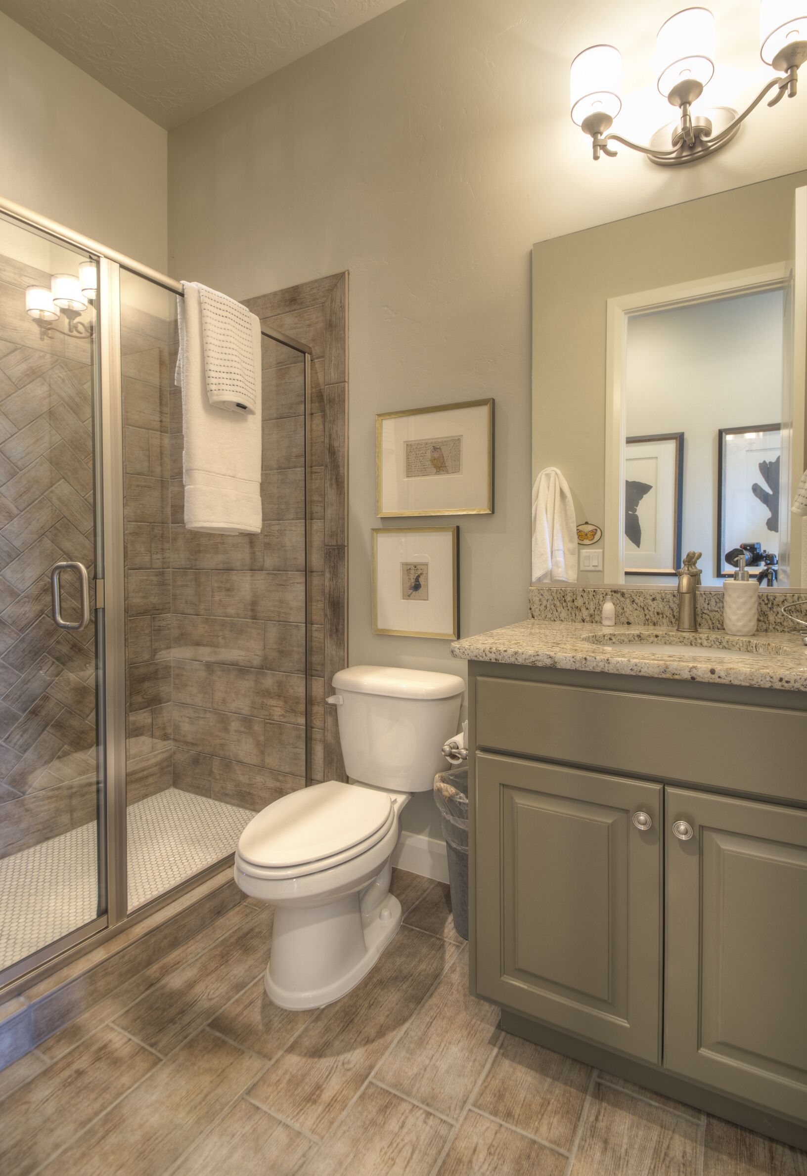 A bathroom with a glass-enclosed shower, a toilet, and a vanity with a mirror.