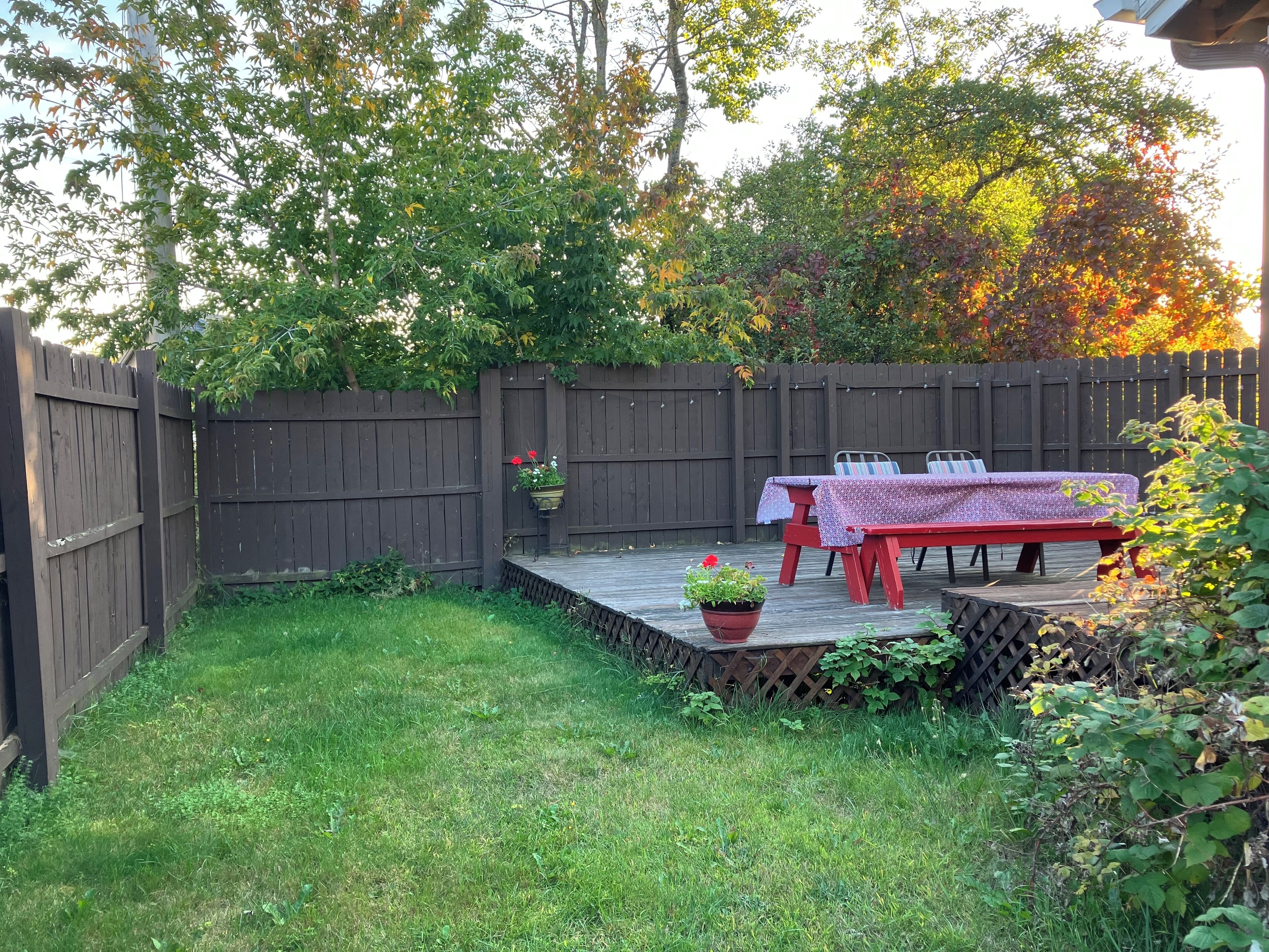 Terrasse/Patio