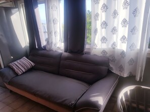 Televisión, reproductor de DVD, libros, videoteca