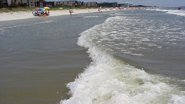 A beach with a sandy shore, waves, and buildings in the background. - Aug/Fall/Wntr LOW RATES & 3-Nite Min.! 5Star, 10/10 Clean, comfy, quiet, secure! (Hilton Head Island)