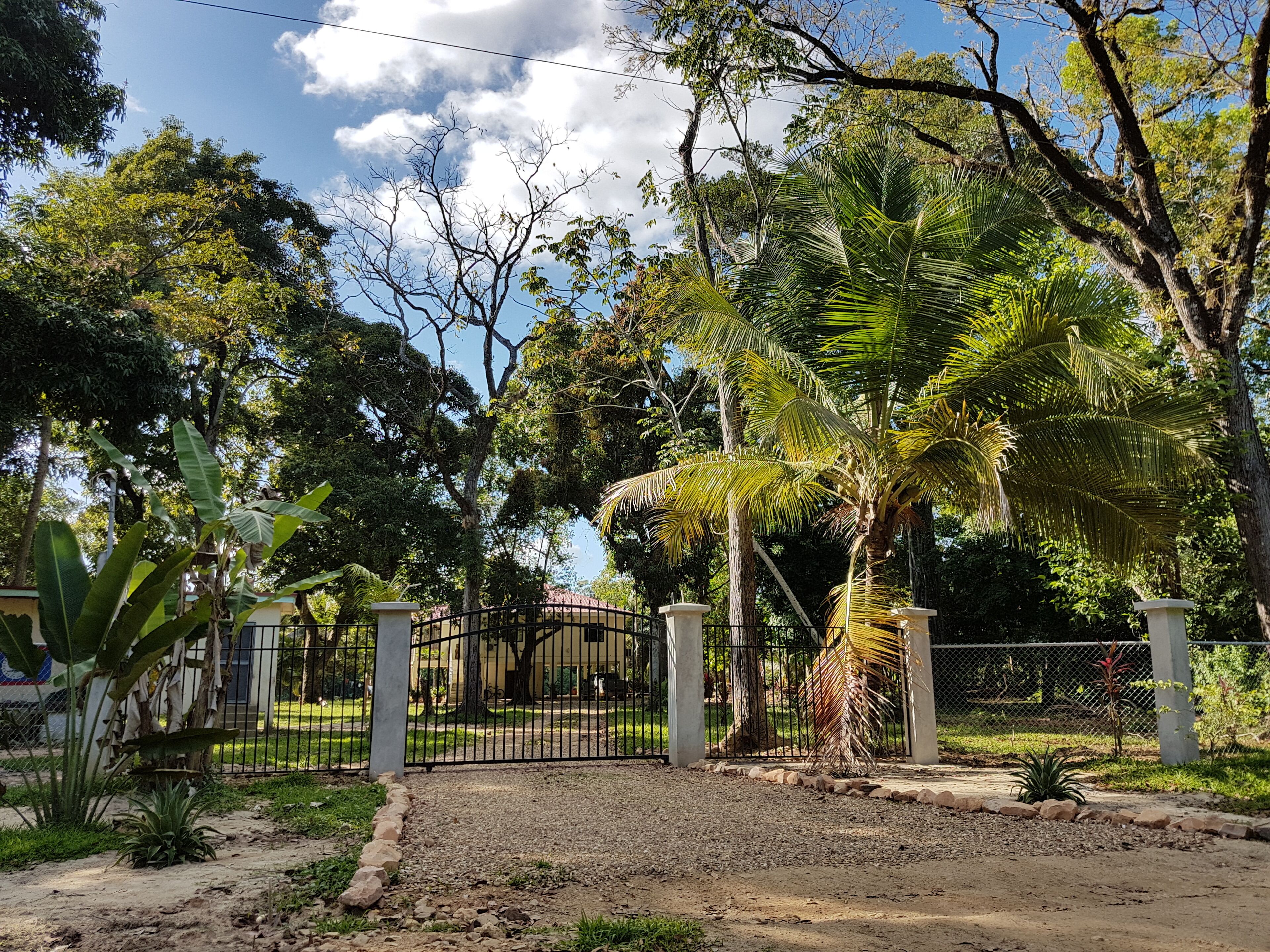 A gated entrance to a property with a gravel driveway, surrounded by lush greenery and trees.