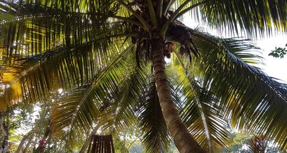 Your Private Sanctuary ... Nature' s Paradise