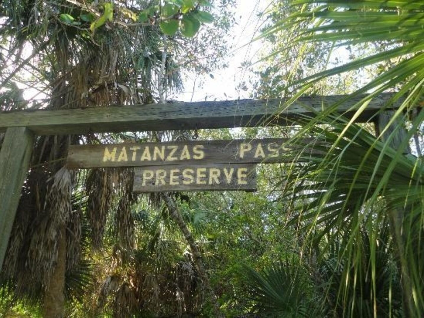 Ein hölzernes Schild mit der Aufschrift 'MATANZAS PASS PRESERVE' in einer natürlichen Umgebung mit dichtem Grün.