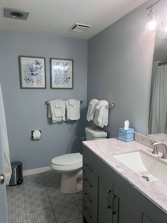 Shower, hair dryer, towels. Large Mountain Villas Condo-Walk to Boyne Mt Activities!