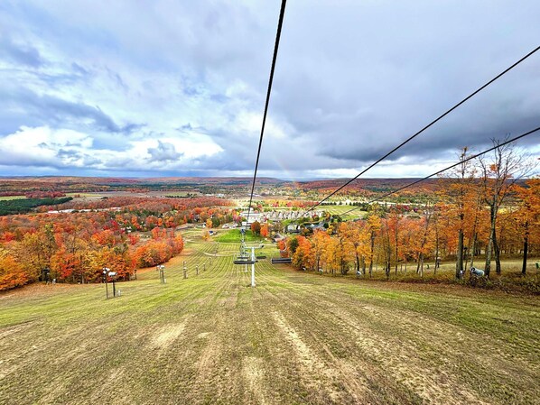 A cable car system with a grassy area in the foreground and a town in the background. - Large Mountain Villas Condo-Walk to Boyne Mt Activities! (Boyne Falls)