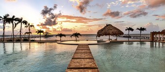 Corner unit- Walk out to 3 pools & beach! Oceanfront with panoramic views.