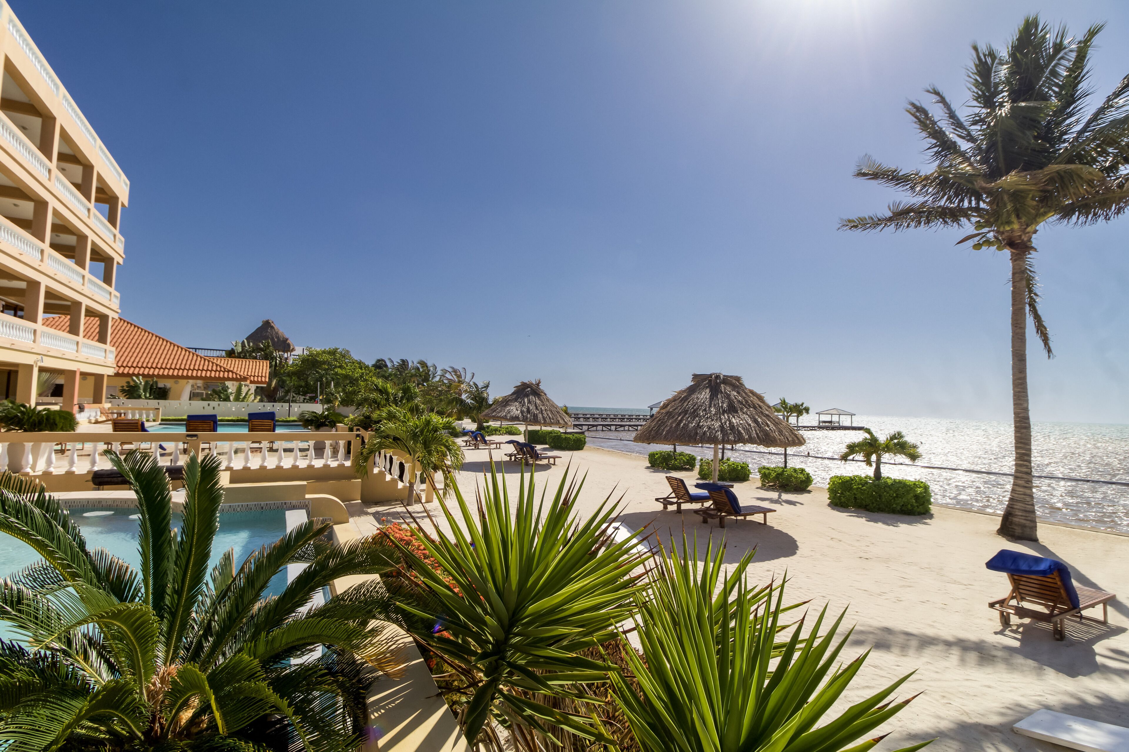Ein Poolbereich mit Liegestühlen, Palmen und Blick auf Strand und Meer.