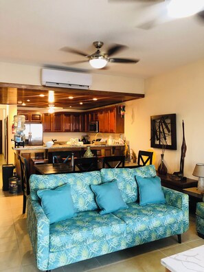 Smart TV, DVD player, books