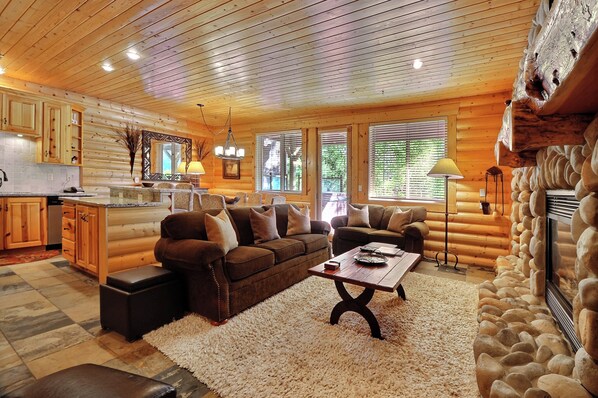 Smart TV, fireplace, books, video library