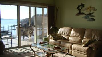 TV, fireplace, DVD player, books