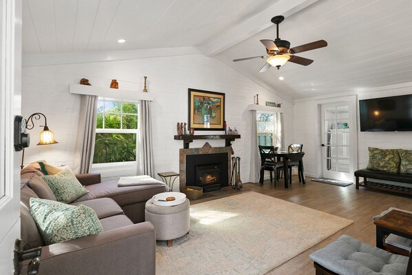 Smart TV, fireplace, books, stereo