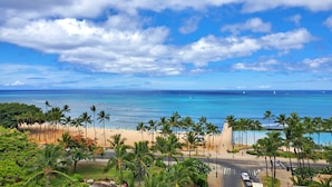 A beach with palm trees, a road, and a view of the ocean.