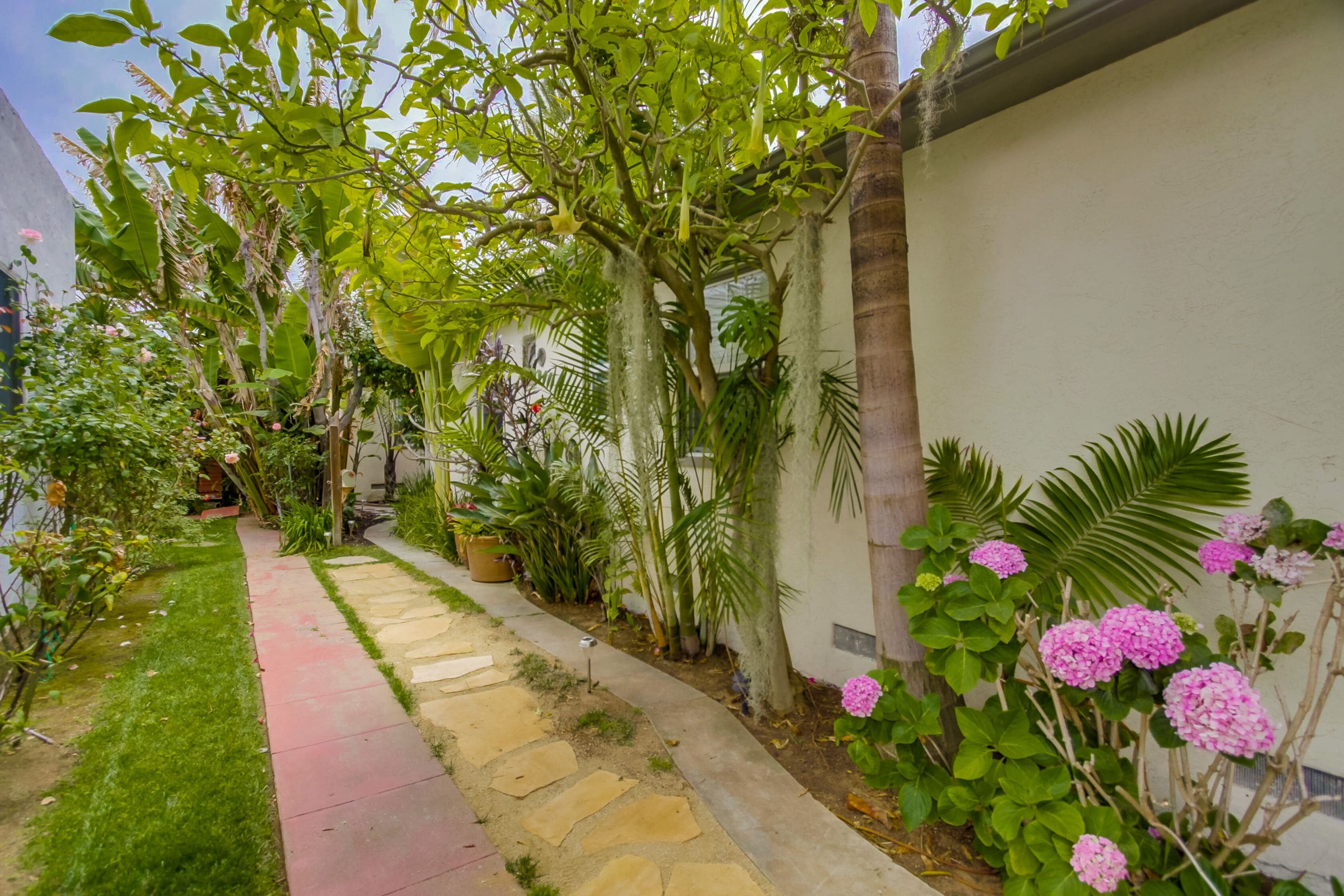 A garden pathway with a mix of grass and stone, surrounded by various plants and flowers.