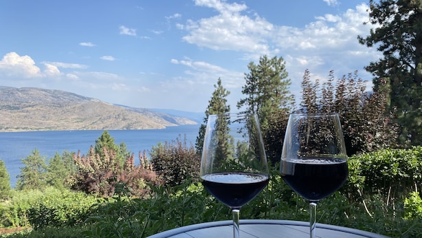 Dos copas de vino sobre una mesa, con una vista panorámica de un lago y montañas al fondo.