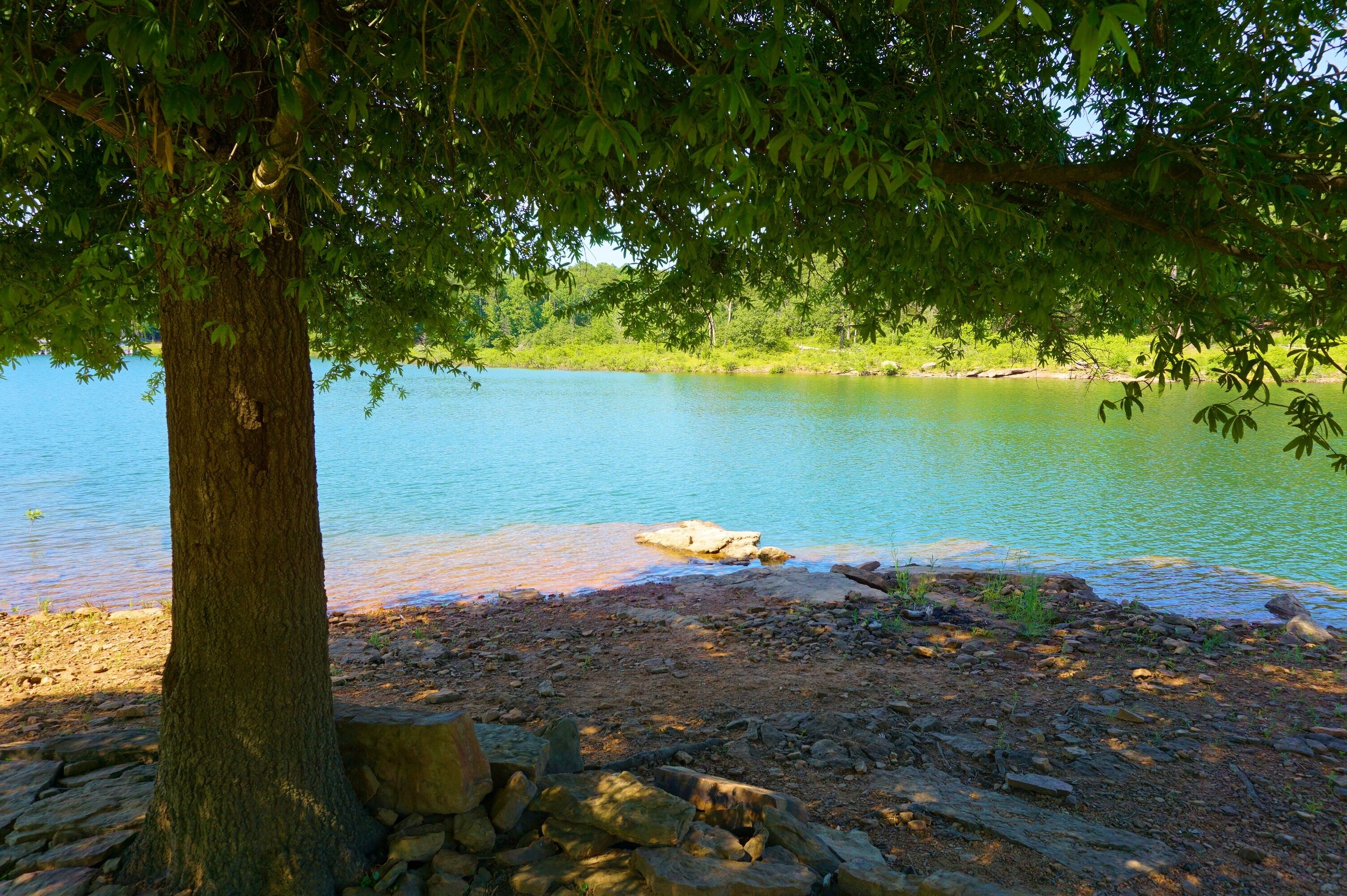 Paisaje natural con un árbol, un cuerpo de agua y una orilla rocosa.