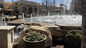 Une fontaine publique dotée de plusieurs jets d’eau, entourée de structures en pierre et de plantes en pot.