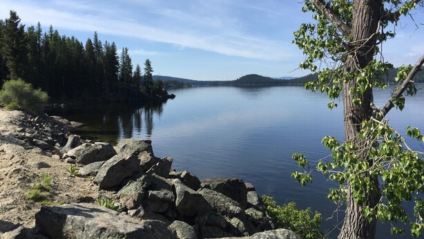 Un paysage paisible au bord du lac, avec des rives rocheuses et une forêt dense.