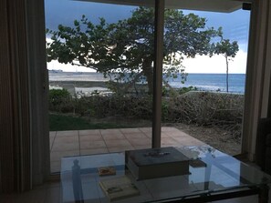 A room with a glass table, a view of the sea, and a tree outside.