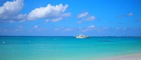 Una spiaggia nelle vicinanze