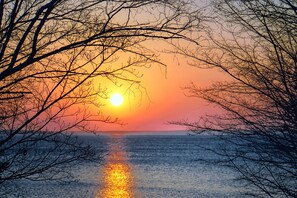 Un atardecer sobre un mar tranquilo, con árboles desnudos silueteados contra el cielo.