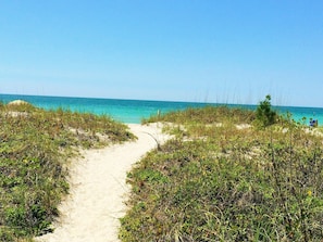 A sandy beach path leading to the ocean, surrounded by green vegetation.