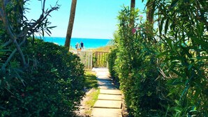 Un camino que lleva a una playa con palmeras y un cielo azul despejado.