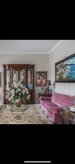 Télévision, cheminée, lecteur de DVD, vidéothèque