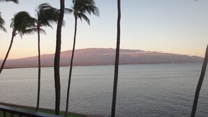 Vista de un cuerpo de agua tranquilo con palmeras al frente y montañas al fondo.