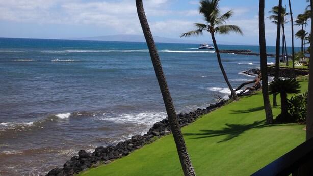 Vista de una zona costera con un área verde, palmeras y un litoral rocoso.