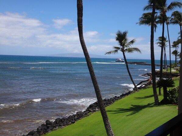En la playa, camastros y toallas de playa 