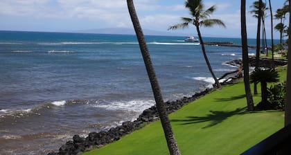 Super Luxury, Direct Oceanfront, 20 yards From Ocean, Whale Watchers Paradise