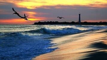 Playa en los alrededores y camastros