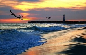 Beach nearby, sun-loungers - OSPREY NEST- 5 star reviews• Secluded Cape May Escape• Gardens • Near Beaches (North Cape May)