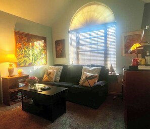 Smart TV, DVD player, books, stereo