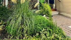 Uma casa com varanda coberta, uma grande planta verde e uma estátua de cabra branca.