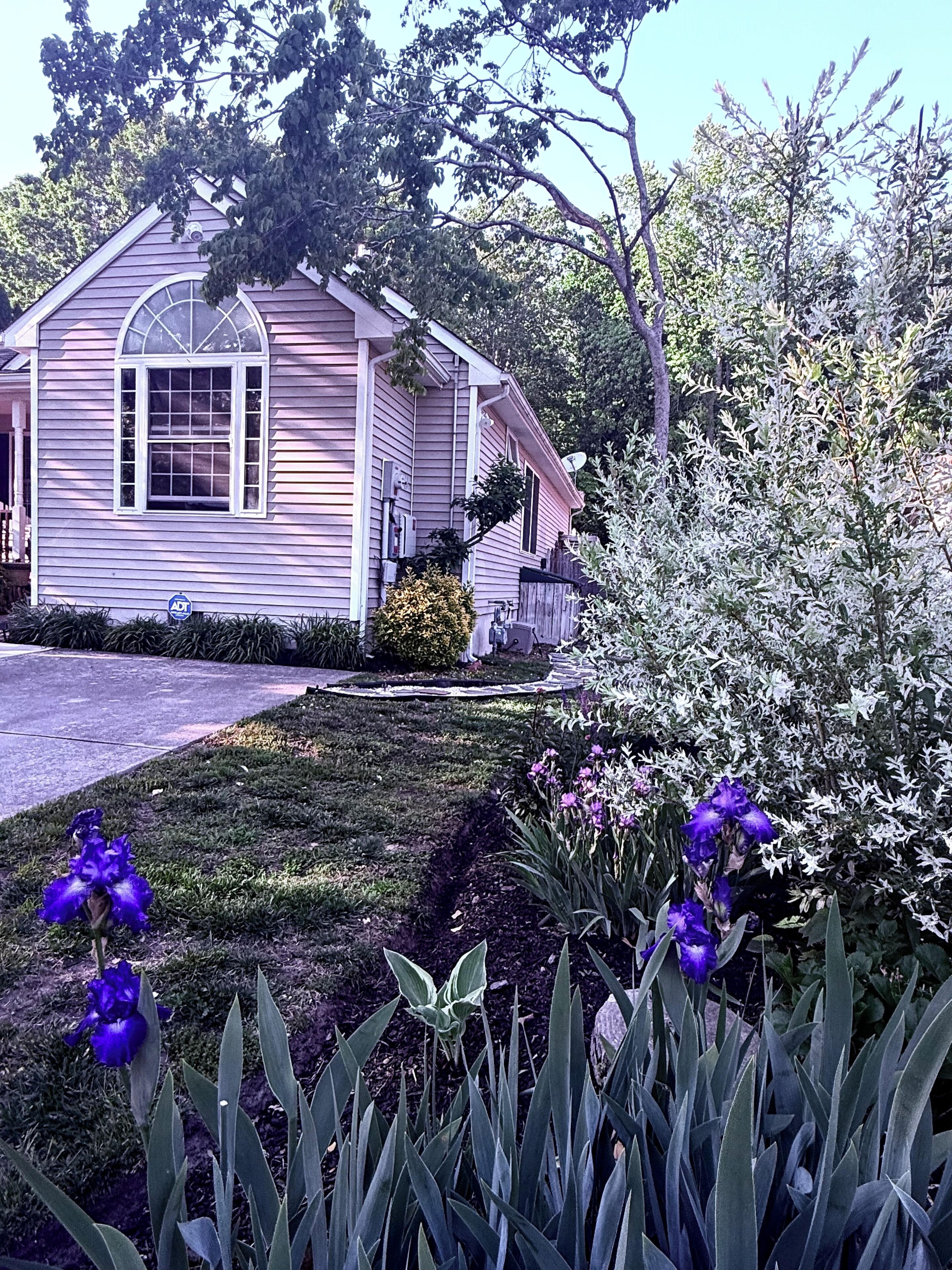 A house with a front yard, a driveway, and a satellite dish.