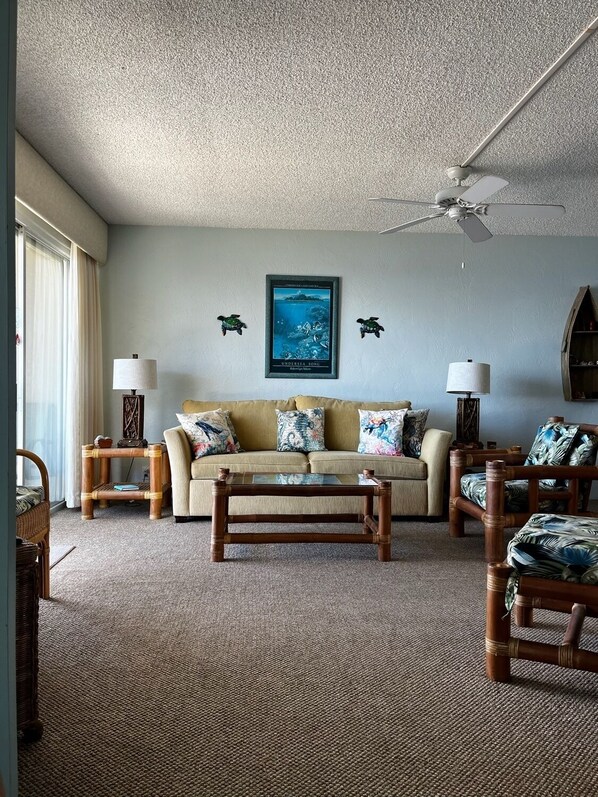 Smart TV, DVD player, books, video library