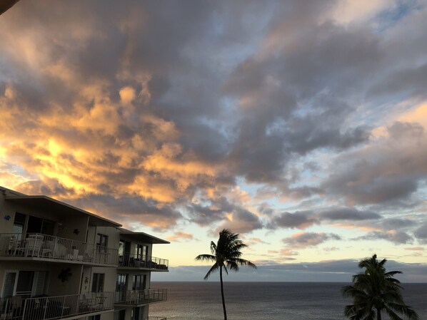 Exterior - Luxurious Location at Economy Price - Dazzling Oceanfront in Poipu (Koloa)