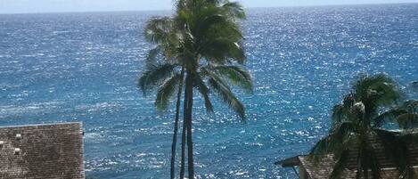 Vistas al mar