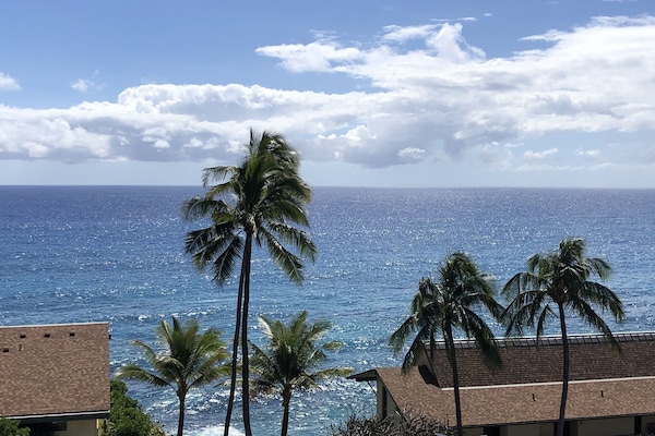 Vista desde la propiedad