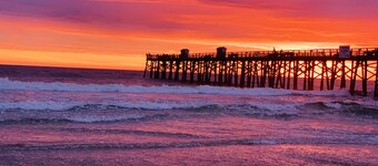 ♥️ SPECIAL-169 a night ! Pet Friendly ♥️