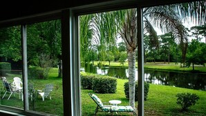 A view through a window of a well-maintained garden with a pond, chairs, and a palm tree.