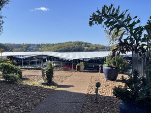 A greenhouse with a metal roof, surrounded by potted plants and a gravel path.