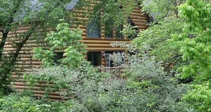 Luxury Newly Built Cabin across from Starved Rock golf,boat,hike,sleeps 12 WiFi