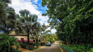 A street lined with palm trees and a building with a tiled roof. - Overlooks Los Suenos Marina 5BR (Playa Herradura)
